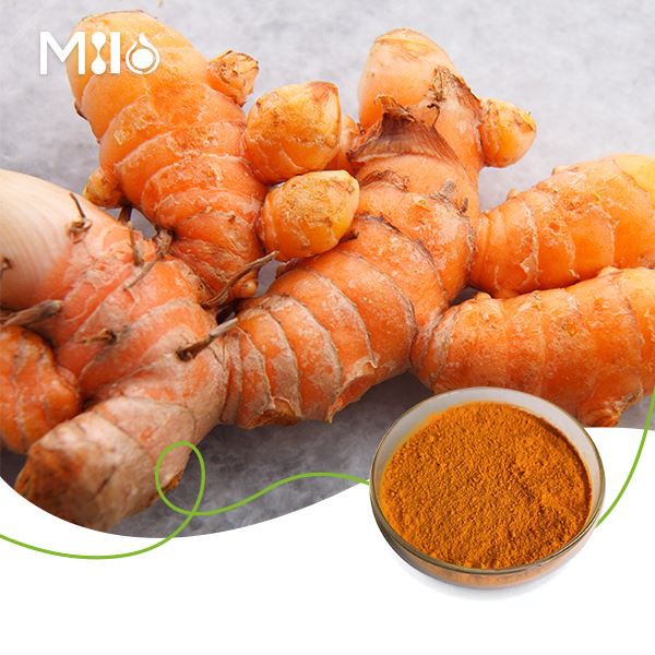 Curcumin Extract Powder Curcumin Extract Powder