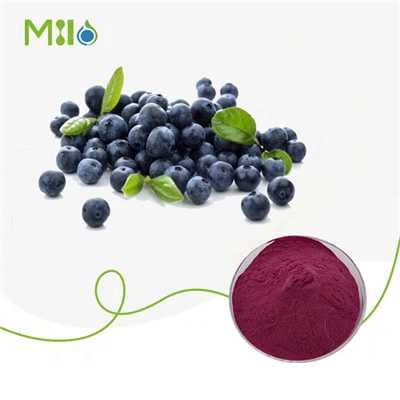 Bilberry ekstrakti kukuni